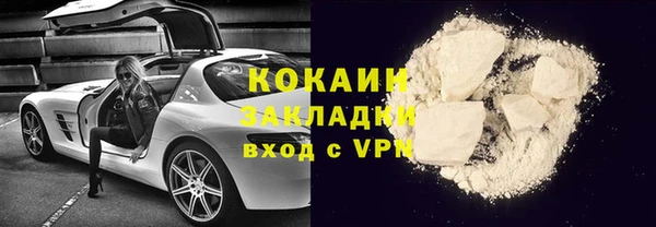 молекула духа Щигры