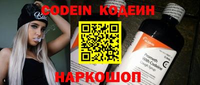 jwh Кингисепп