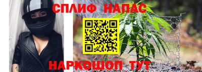 jwh Кингисепп
