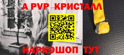 jwh Кингисепп