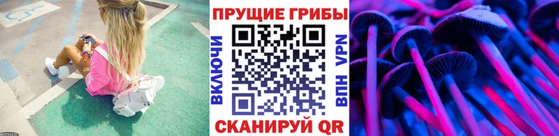 Псилоцибиновые грибы MAGIC MUSHROOMS  закладка  Хабаровск 